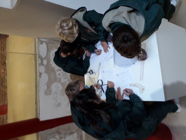 20220531_110712 (Small)